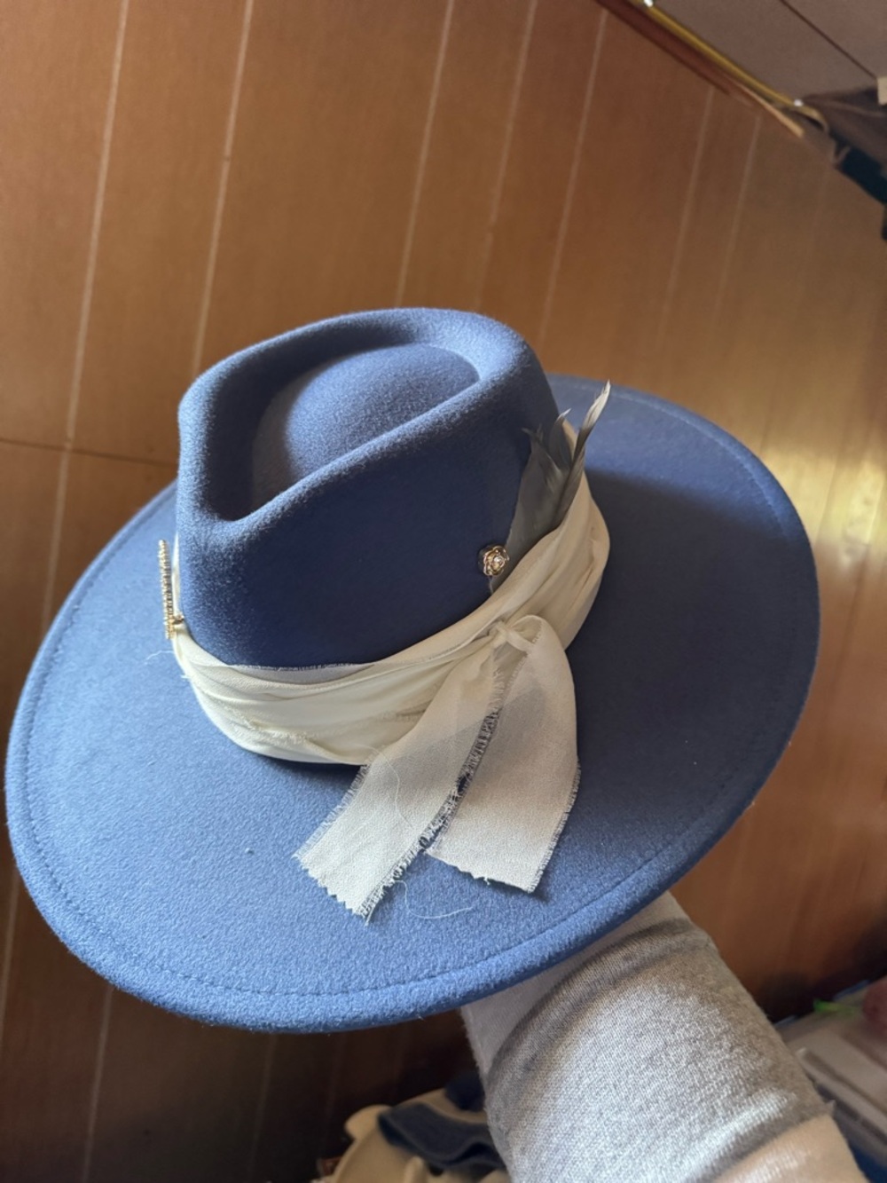 Fedora hat